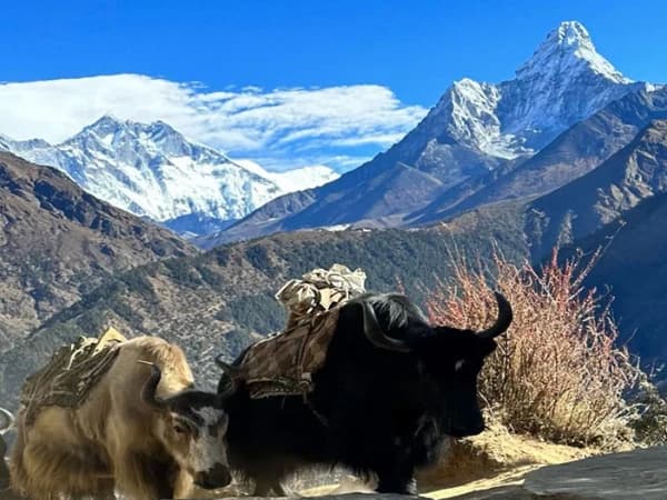 Ama Dablam And Mount Everest