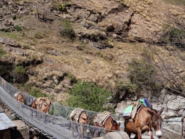 Bridge From Jagat To Philim