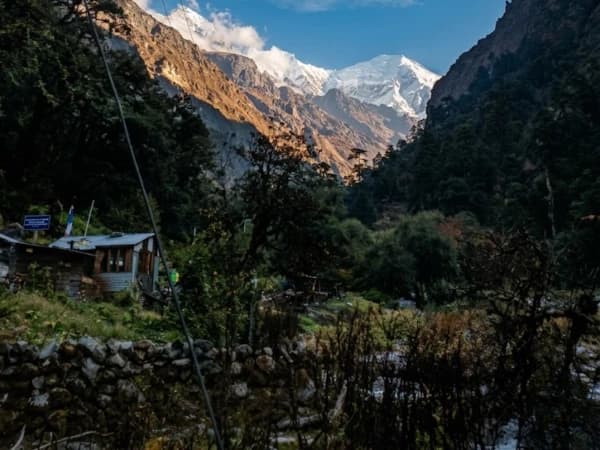 Langtang 7