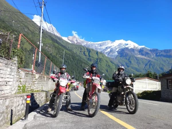 Lower Mustang