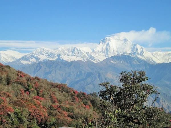 Poon Hill Trek 03