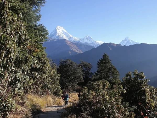 Poon Hill Trek 02