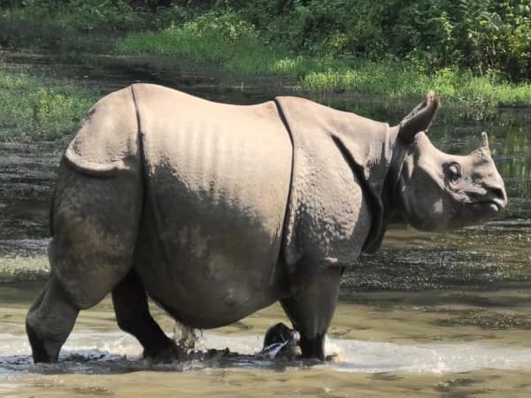 Kathmandu, Pokhara, Chitwan tour